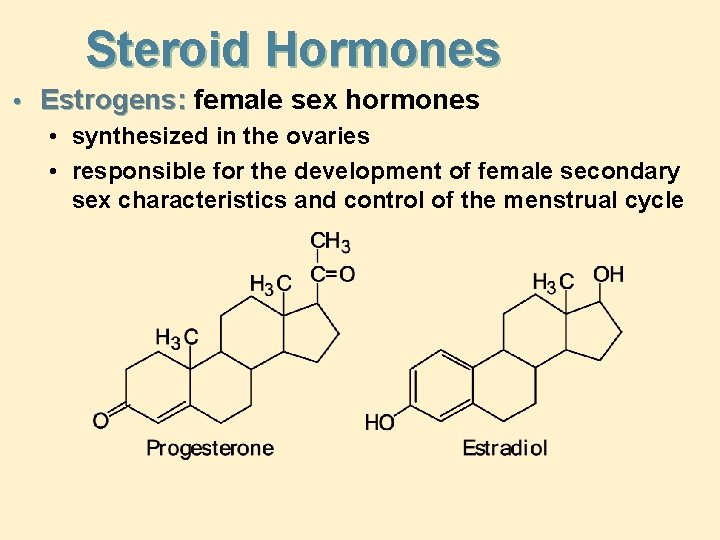 Steroid Hormones • Estrogens: female sex hormones • synthesized in the ovaries • responsible