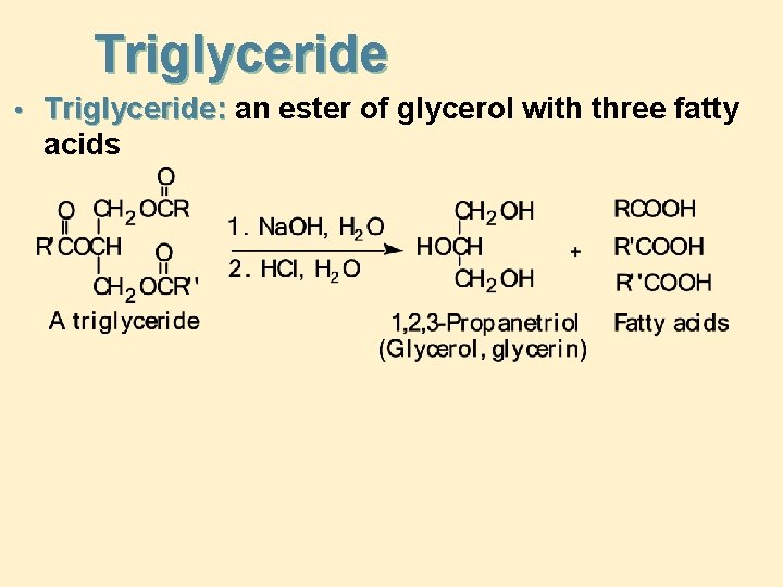 Triglyceride • Triglyceride: an ester of glycerol with three fatty acids 