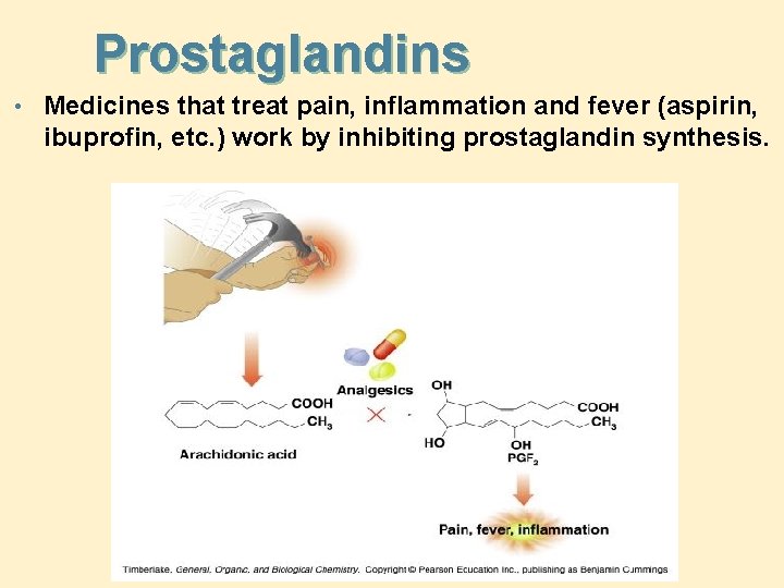 Prostaglandins • Medicines that treat pain, inflammation and fever (aspirin, ibuprofin, etc. ) work