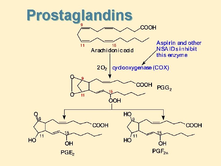 Prostaglandins 