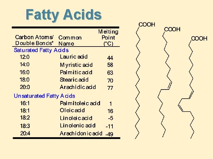 Fatty Acids 