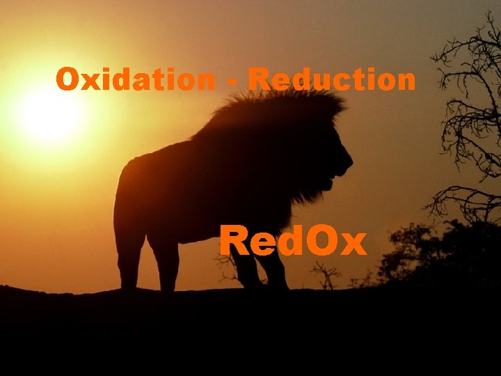 Oxidation - Reduction Red. Ox 