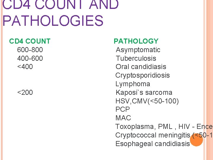 CD 4 COUNT AND PATHOLOGIES CD 4 COUNT 600 -800 400 -600 <400 <200