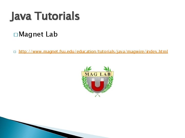 Java Tutorials � Magnet � Lab http: //www. magnet. fsu. edu/education/tutorials/java/magwire/index. html 