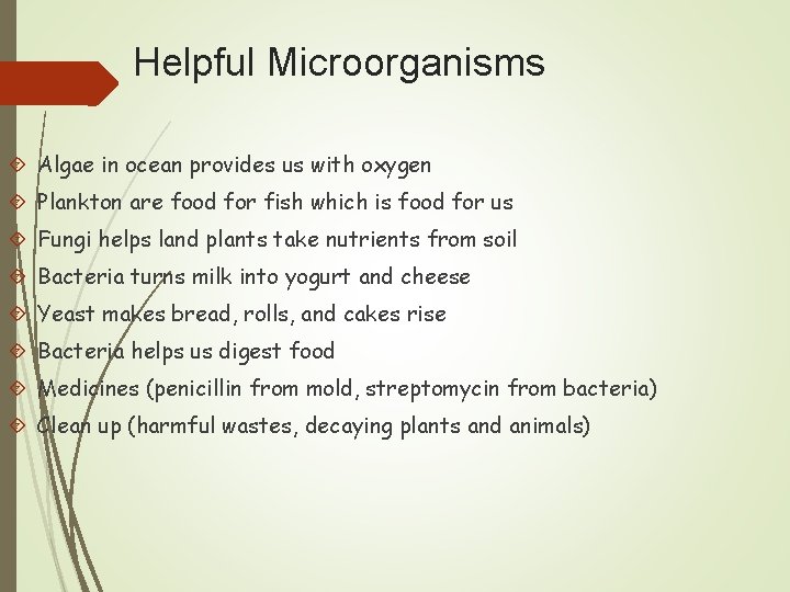 Helpful Microorganisms Algae in ocean provides us with oxygen Plankton are food for fish