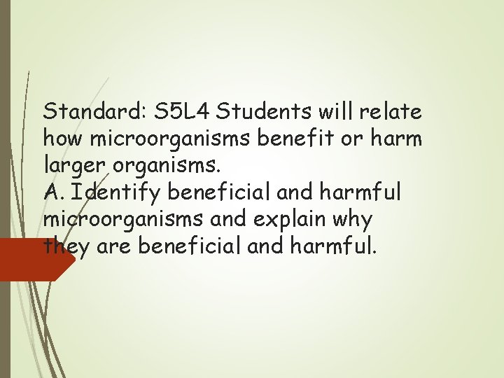 Standard: S 5 L 4 Students will relate how microorganisms benefit or harm larger