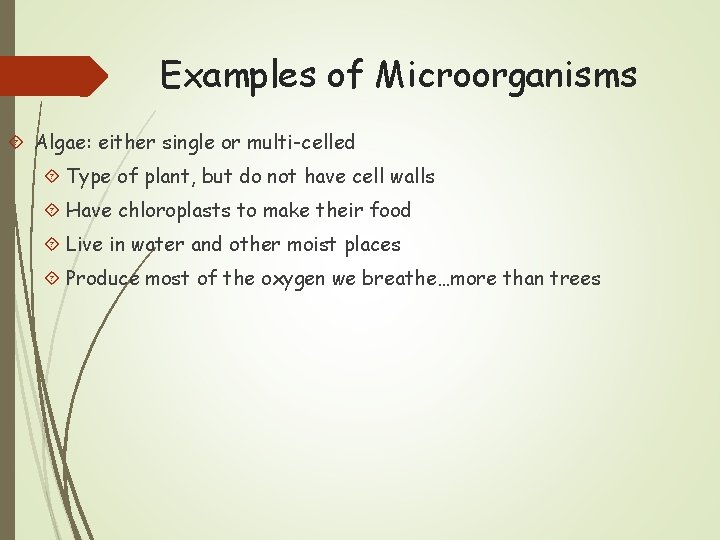 Examples of Microorganisms Algae: either single or multi-celled Type of plant, but do not