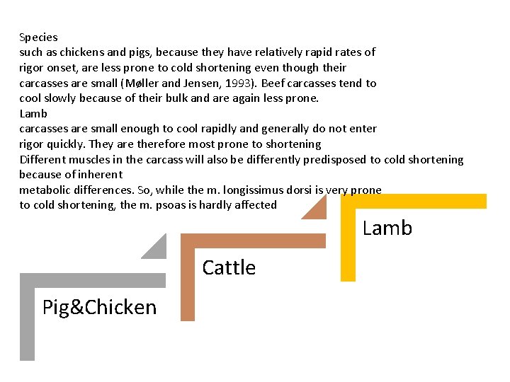 Species such as chickens and pigs, because they have relatively rapid rates of rigor