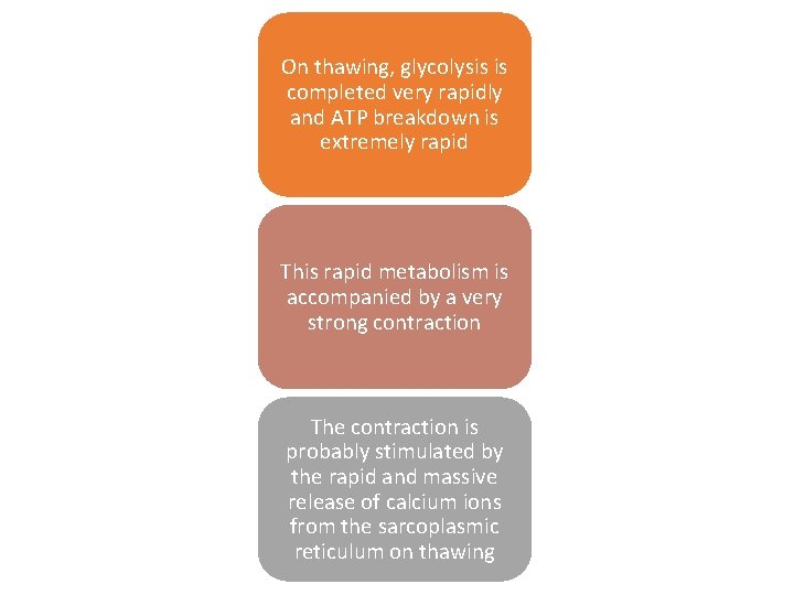 On thawing, glycolysis is completed very rapidly and ATP breakdown is extremely rapid This