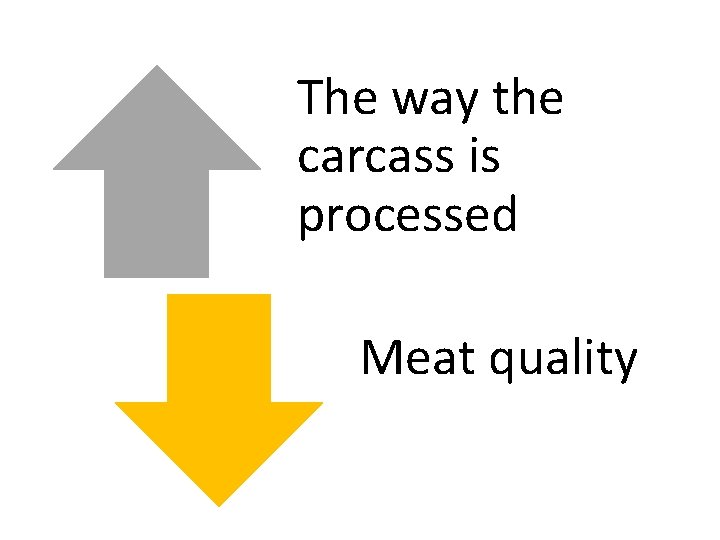 The way the carcass is processed Meat quality 