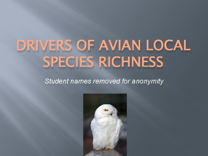 DRIVERS OF AVIAN LOCAL SPECIES RICHNESS Student names removed for anonymity 