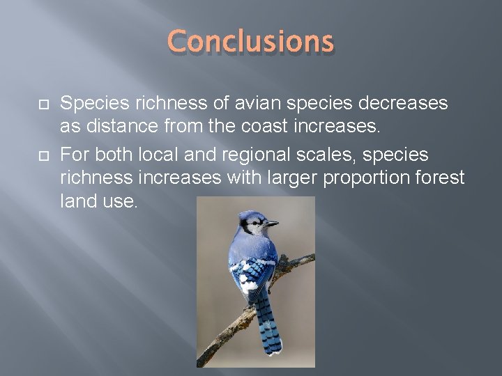 Conclusions Species richness of avian species decreases as distance from the coast increases. For