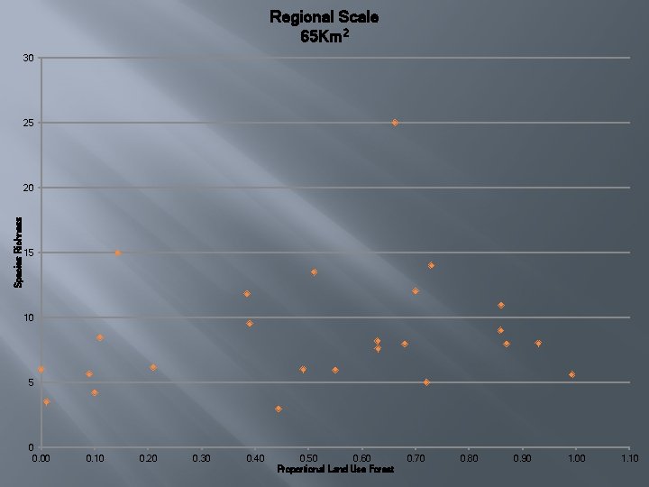 Regional Scale 65 Km 2 30 25 Species Richness 20 15 10 5 0