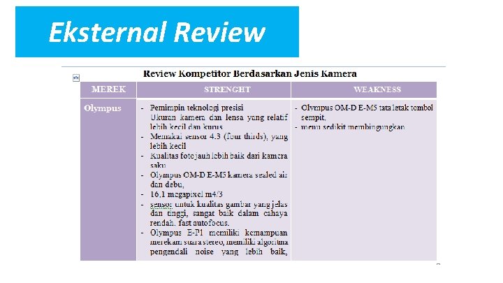Eksternal Review 