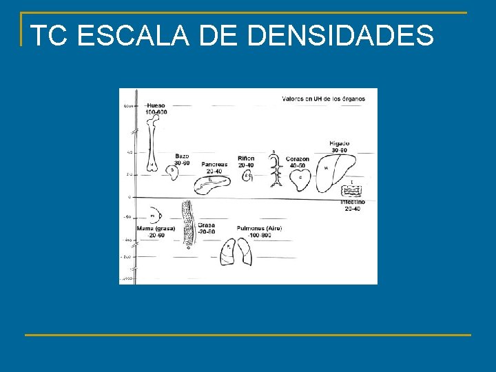TC ESCALA DE DENSIDADES 