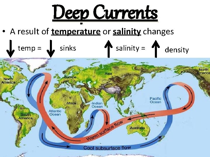 Deep Currents • A result of temperature or salinity changes temp = sinks salinity