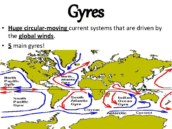 Gyres • Huge circular-moving current systems that are driven by the global winds. •