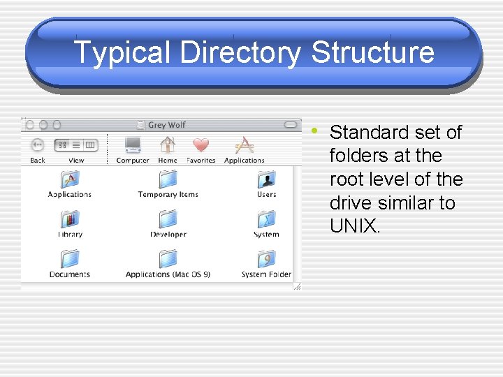 Typical Directory Structure • Standard set of folders at the root level of the