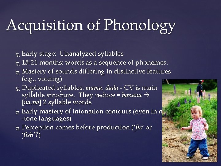 Acquisition of Phonology Early stage: Unanalyzed syllables 15 -21 months: words as a sequence