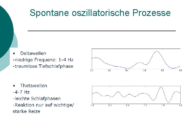 Spontane oszillatorische Prozesse 