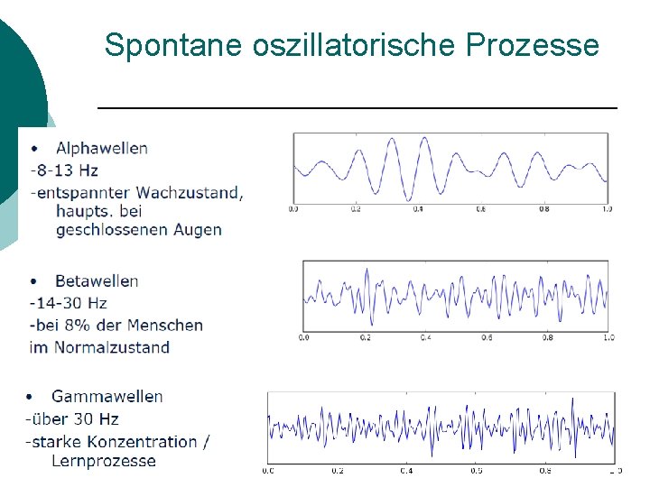 Spontane oszillatorische Prozesse 