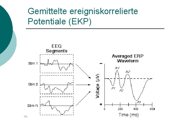 Gemittelte ereigniskorrelierte Potentiale (EKP) 