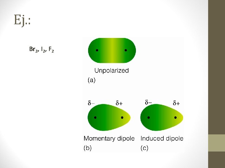 Ej. : Br 2, I 2, F 2 