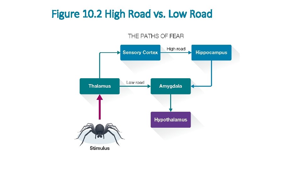 Figure 10. 2 High Road vs. Low Road 