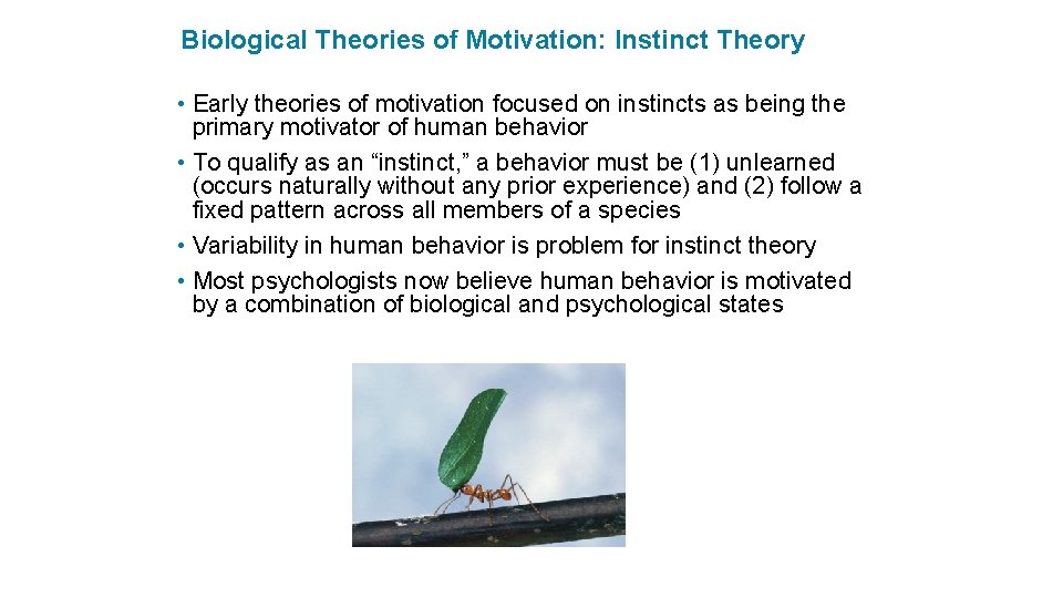 Biological Theories of Motivation: Instinct Theory • Early theories of motivation focused on instincts