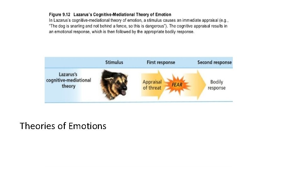 Theories of Emotions 