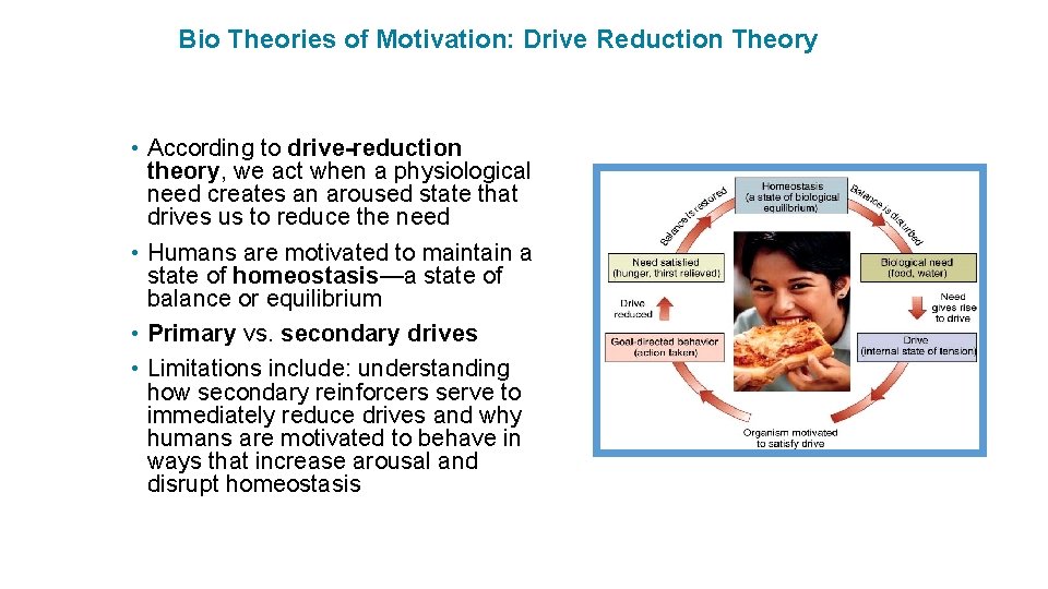 Bio Theories of Motivation: Drive Reduction Theory • According to drive-reduction theory, we act