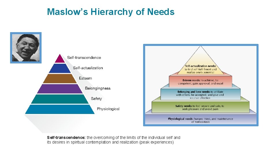 Maslow’s Hierarchy of Needs Self-transcendence: the overcoming of the limits of the individual self