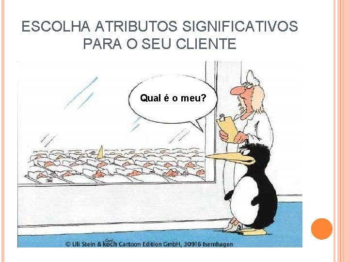 ESCOLHA ATRIBUTOS SIGNIFICATIVOS PARA O SEU CLIENTE Qual é o meu? 