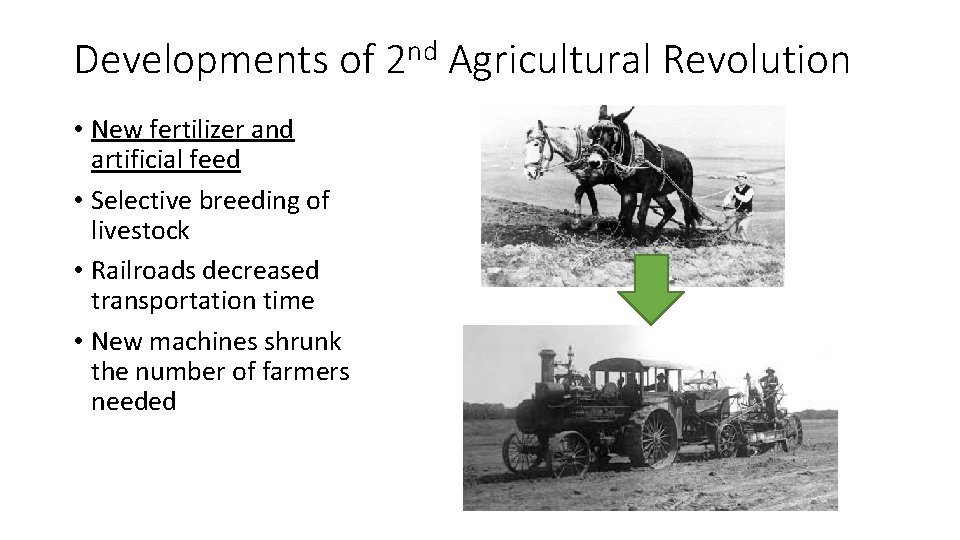 Developments of 2 nd Agricultural Revolution • New fertilizer and artificial feed • Selective