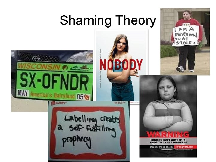 Shaming Theory 