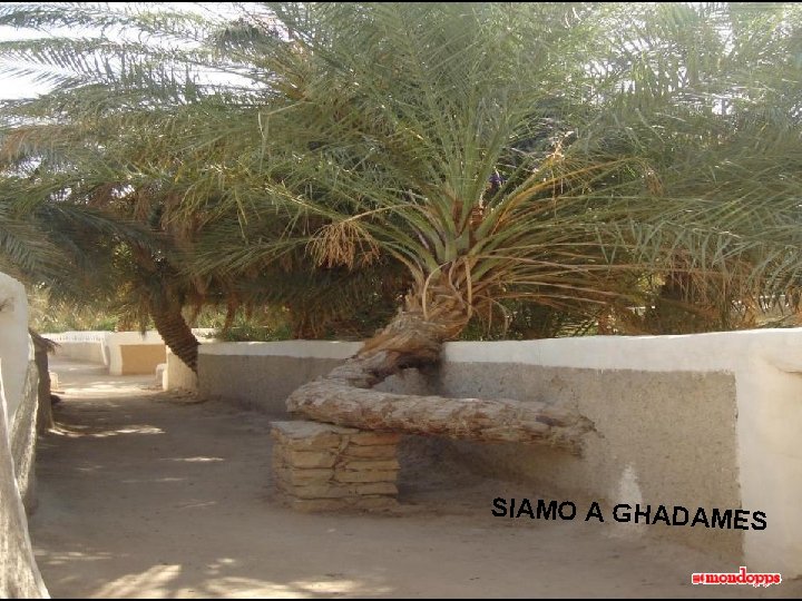 SIAMO A GHADAMES 