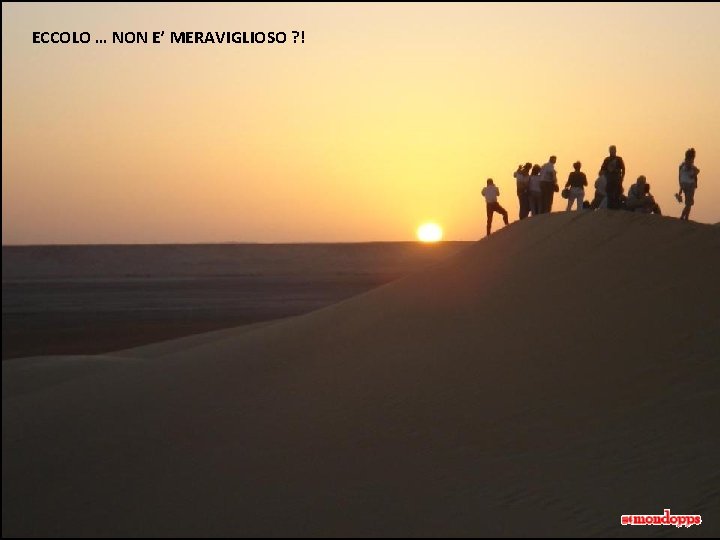 ECCOLO … NON E’ MERAVIGLIOSO ? ! 