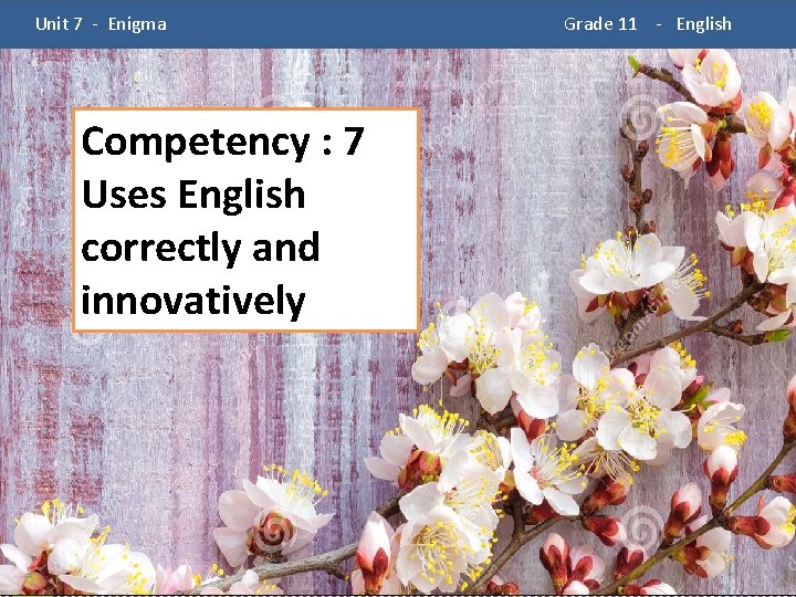  Unit 7 - Enigma Competency : 7 Uses English correctly and A innovatively