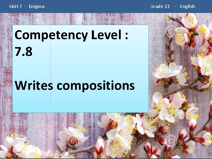  Unit 7 - Enigma Competency Level : 7. 8 Writes compositions Grade 11