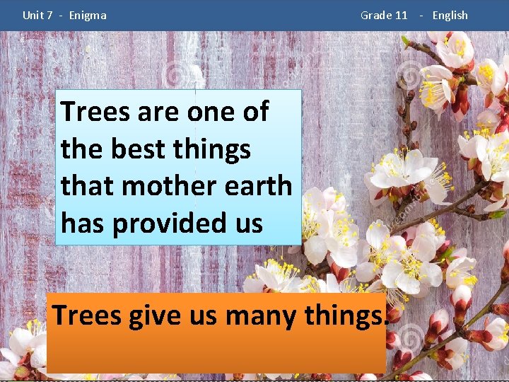  Unit 7 - Enigma Grade 11 - English Trees are one of the