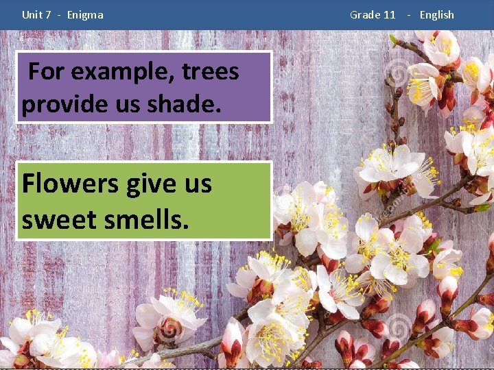  Unit 7 - Enigma For example, trees provide us shade. Flowers give us