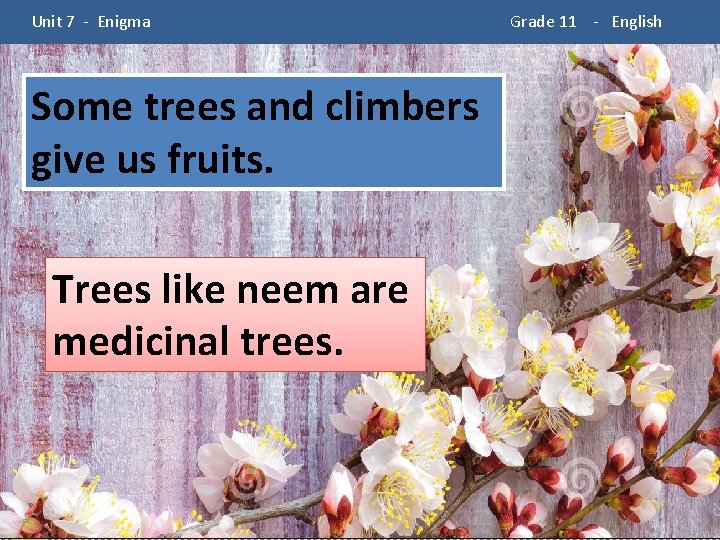  Unit 7 - Enigma Some trees and climbers give us fruits. Trees like