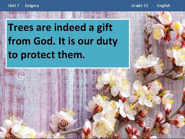  Unit 7 - Enigma Trees are indeed a gift from God. It is