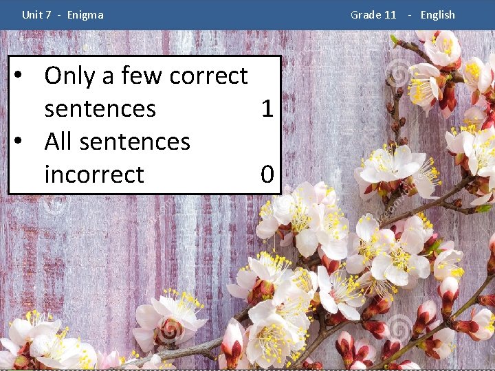  Unit 7 - Enigma • Only a few correct sentences 1 • All