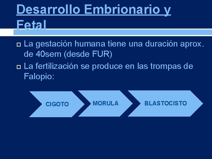 Desarrollo Embrionario y Fetal La gestación humana tiene una duración aprox. de 40 sem