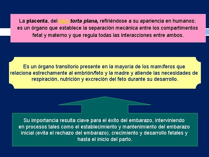 La placenta, del latín torta plana, refiriéndose a su apariencia en humanos; es un