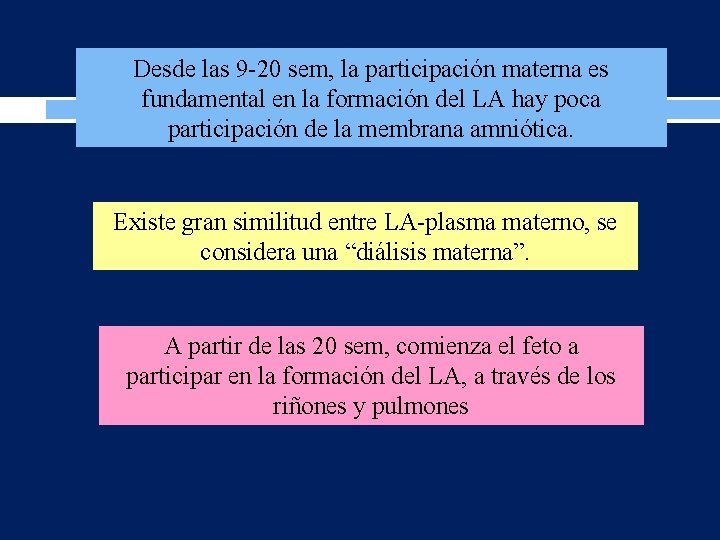 Desde las 9 -20 sem, la participación materna es fundamental en la formación del