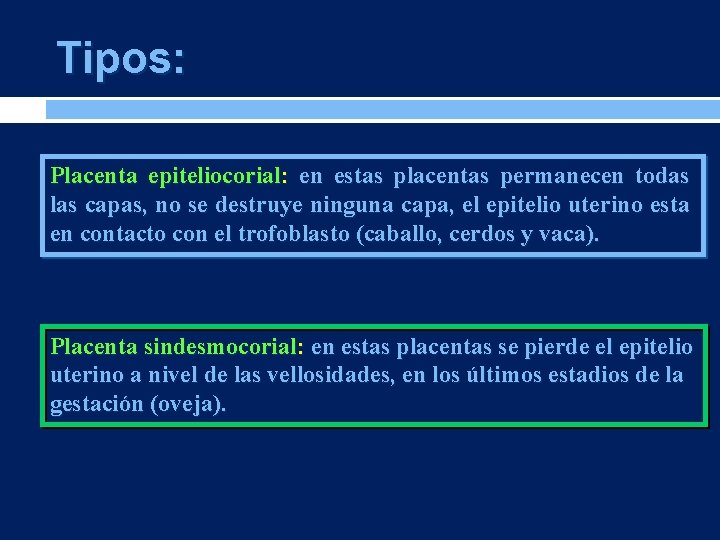 Tipos: Placenta epiteliocorial: en estas placentas permanecen todas las capas, no se destruye ninguna