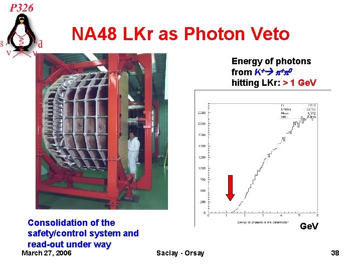 NA 48 LKr as Photon Veto Energy of photons from K+ p+p 0 hitting