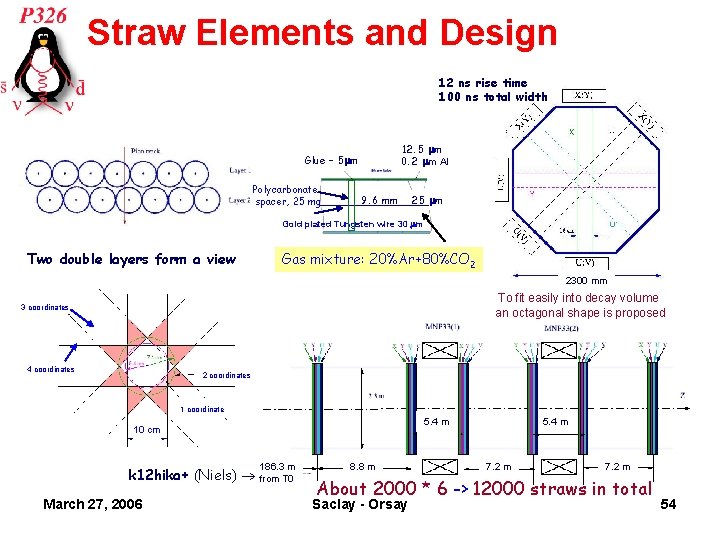 Straw Elements and Design 12 ns rise time 100 ns total width 12. 5